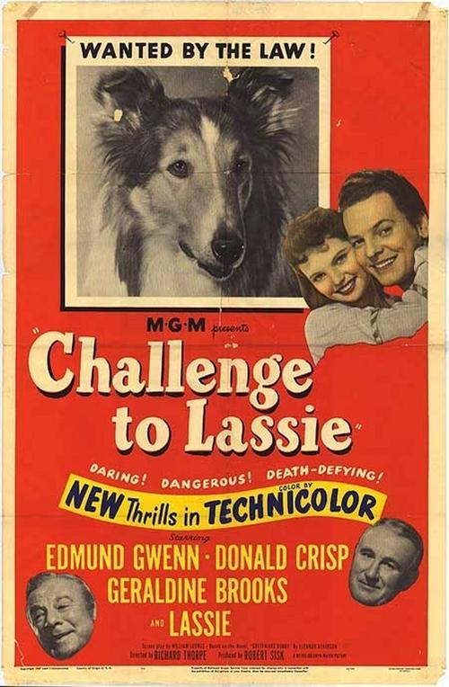 El desafío de Lassie