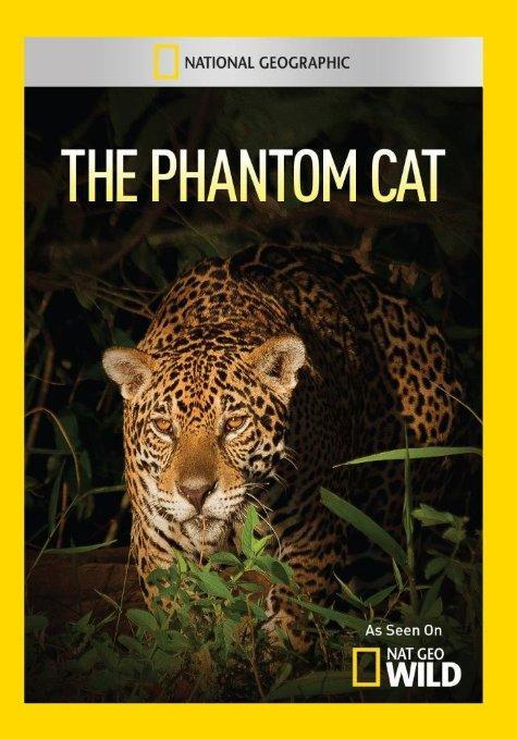 The Phantom Cat