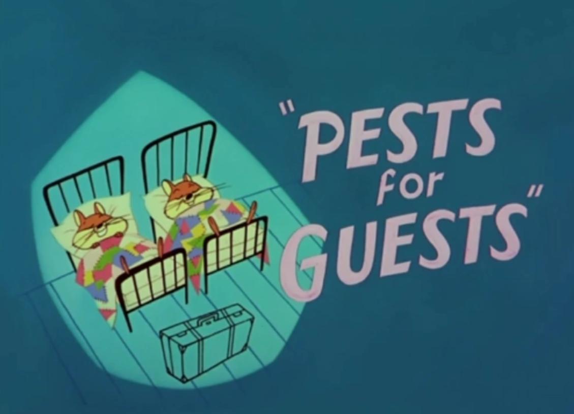 Pests for Guests (S)