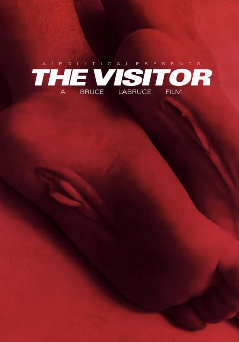 The Visitor