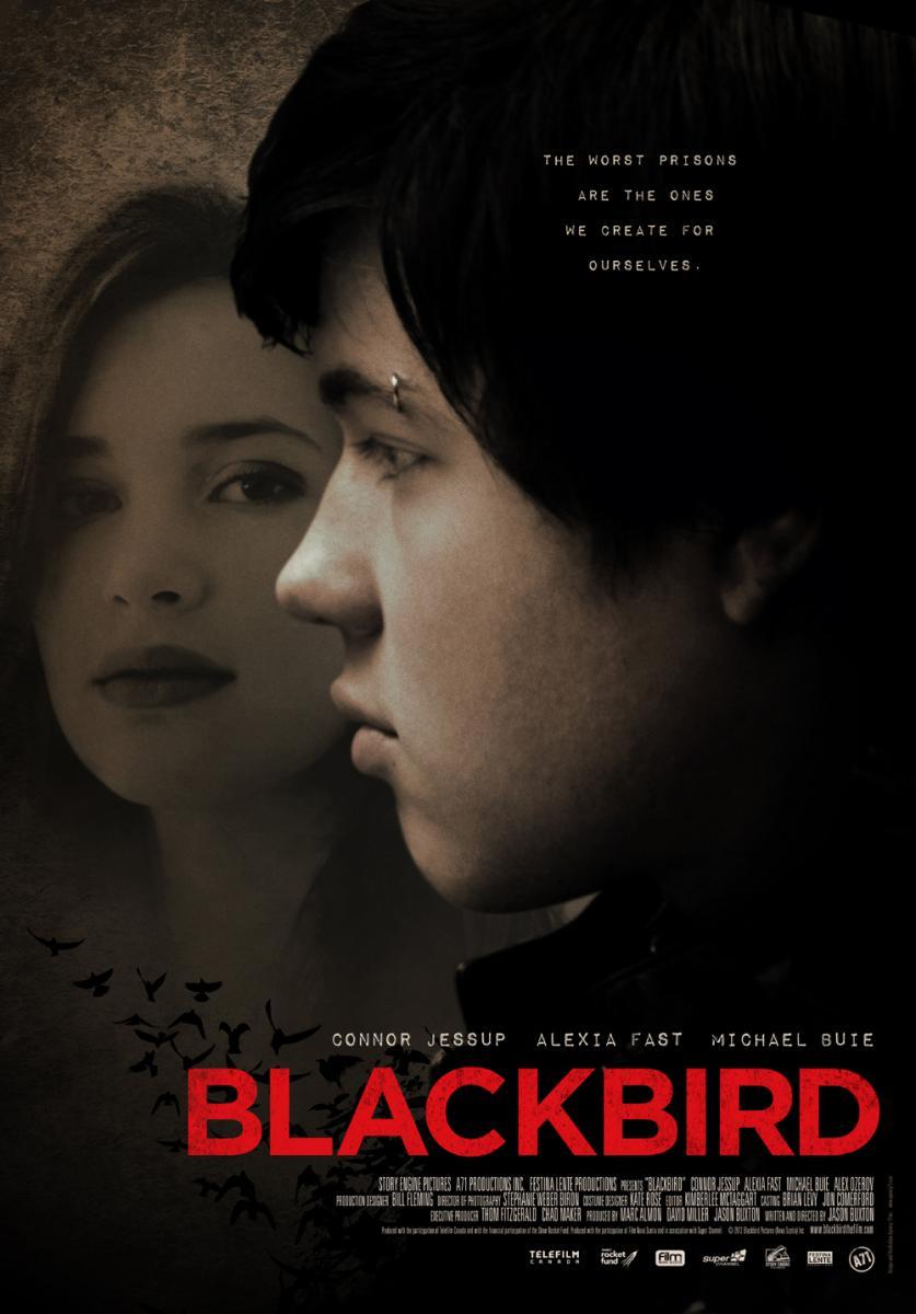 Blackbird