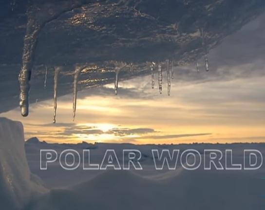 Polar World