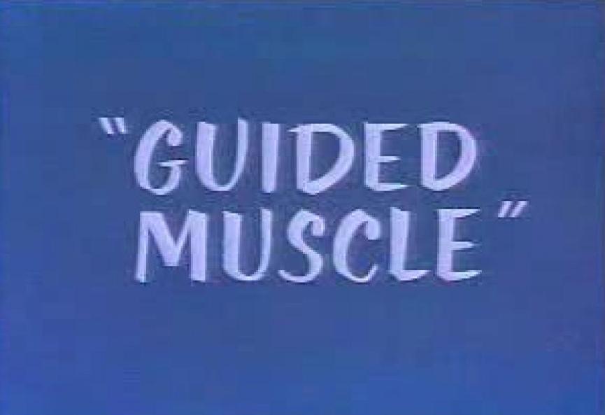 Guided Muscle (S)