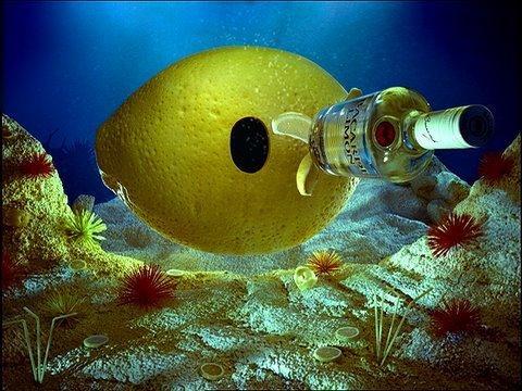 Bacardi Submarine (S)