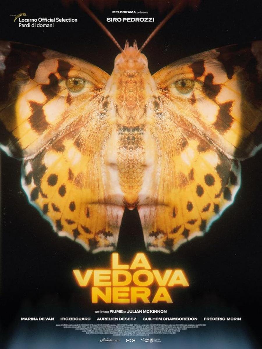 La Vedova Nera (C)