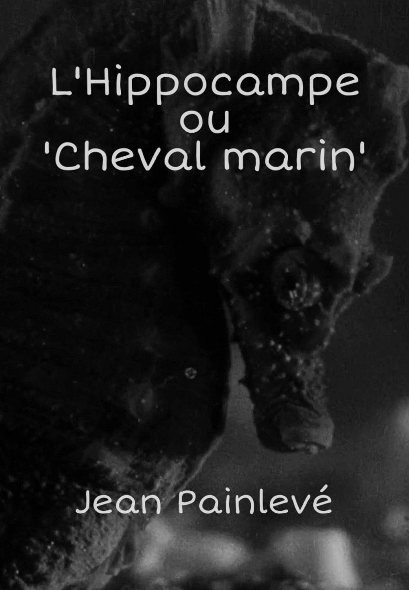 L'Hippocampe, ou 'Cheval marin' (C)