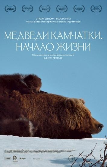 Kamchatka Bears