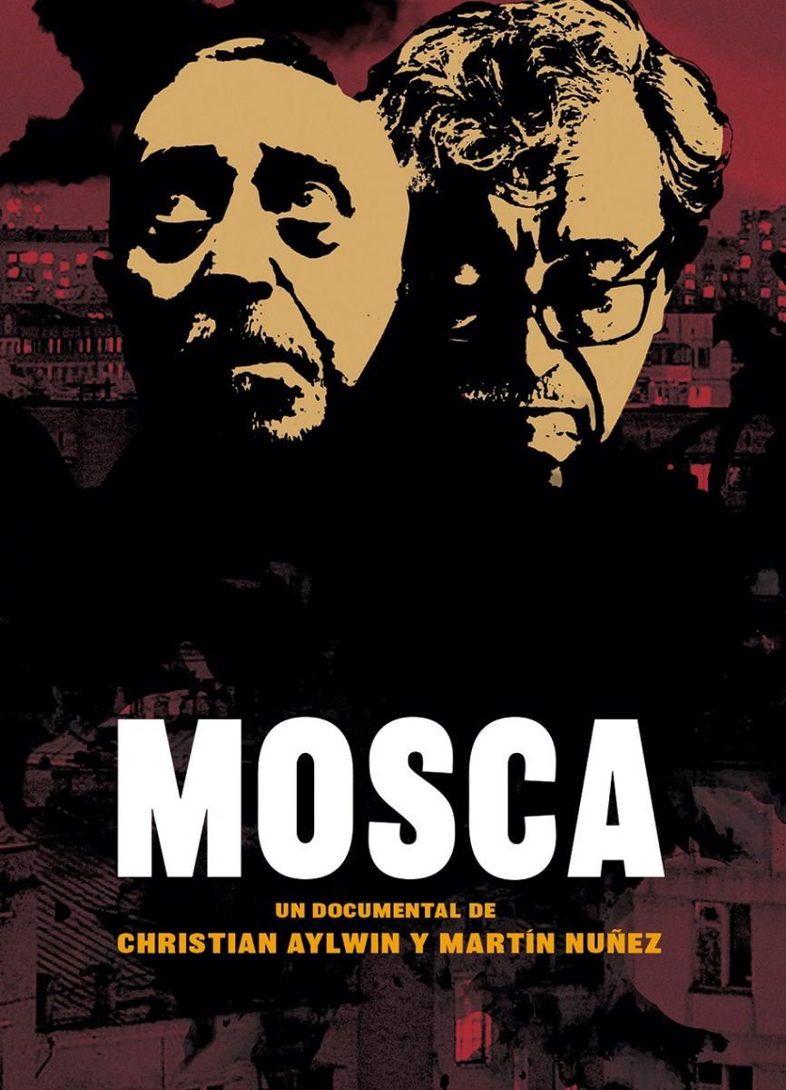 Moscas