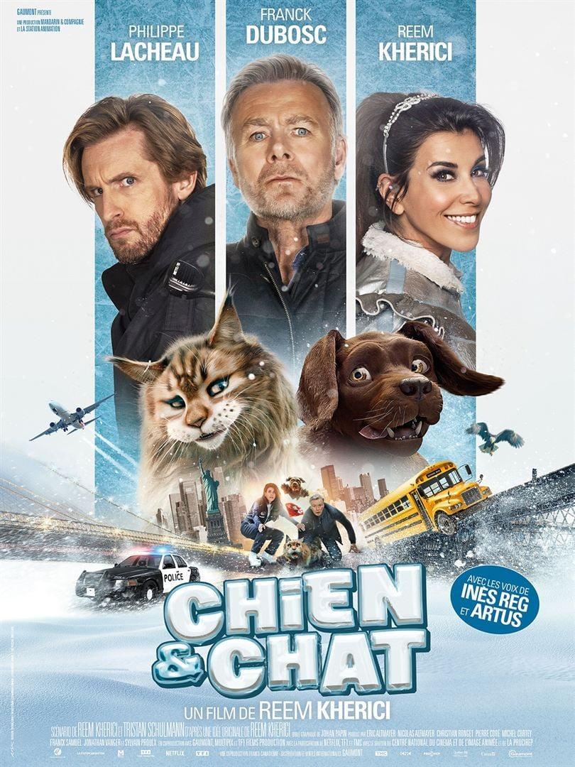 Chien et chat