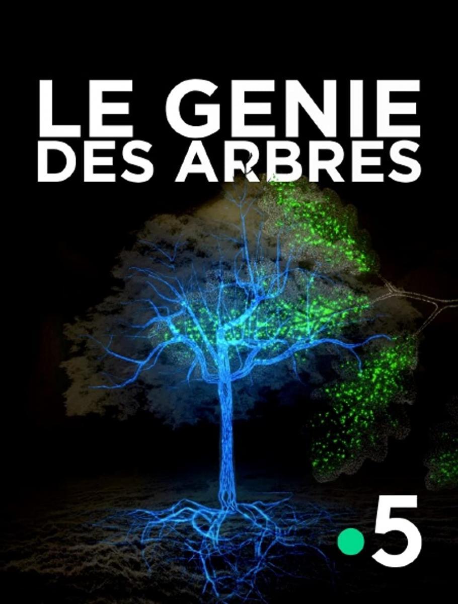 Le génie des arbres (TV)