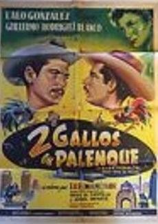 Dos gallos en palenque