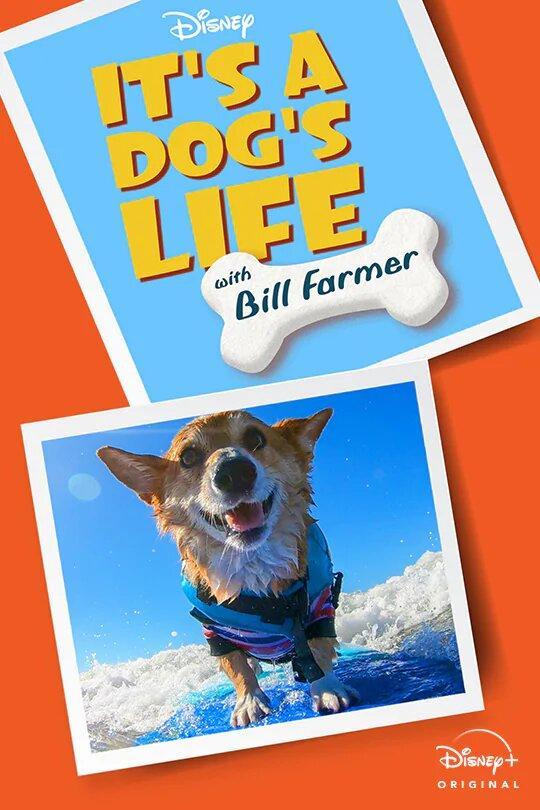 Una vida de perros con Bill Farmer (Serie de TV)