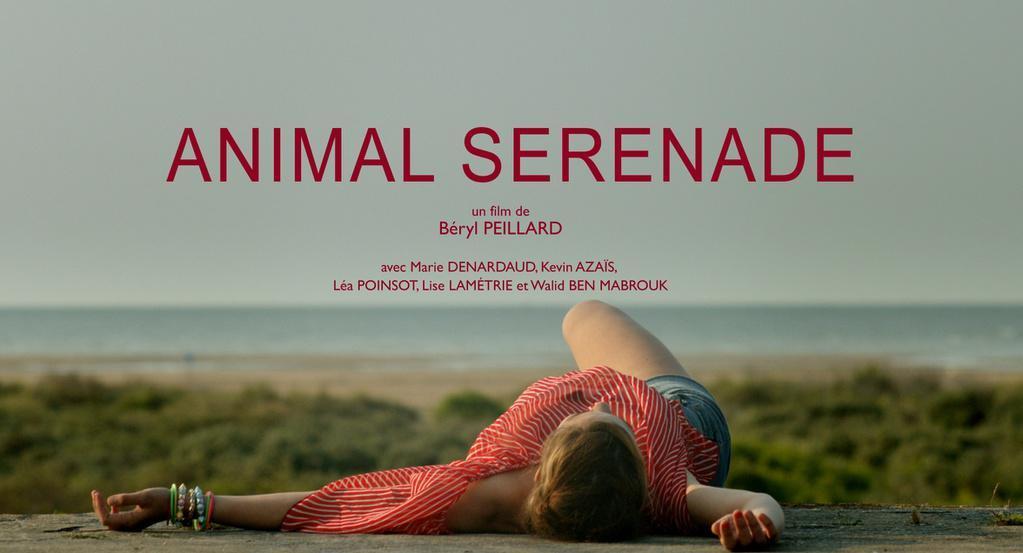 Animal sérénade