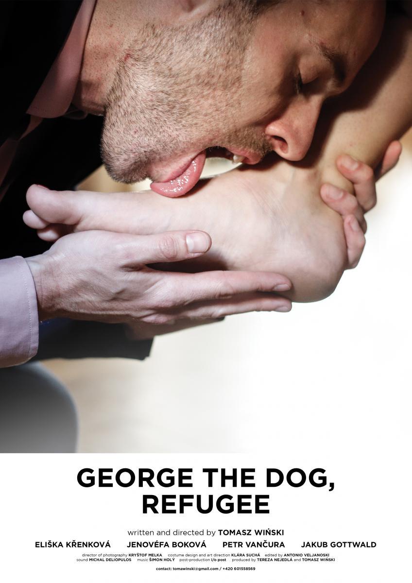 George the dog, refugee