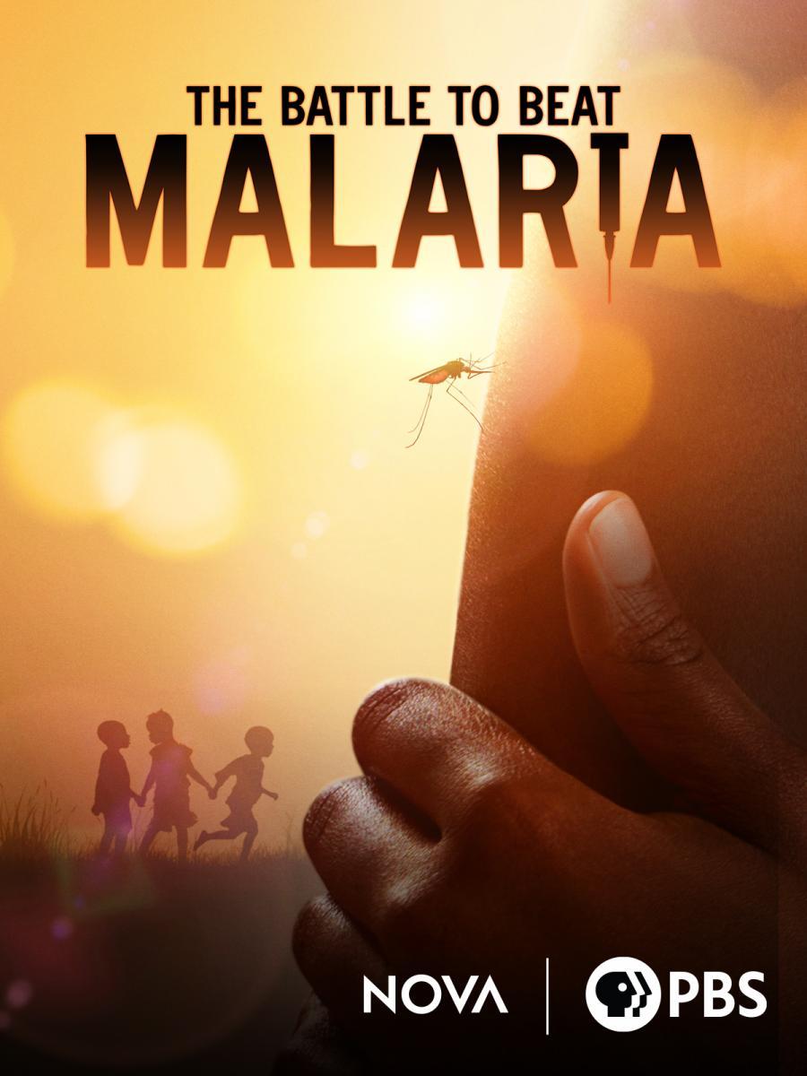 The Battle to Beat Malaria