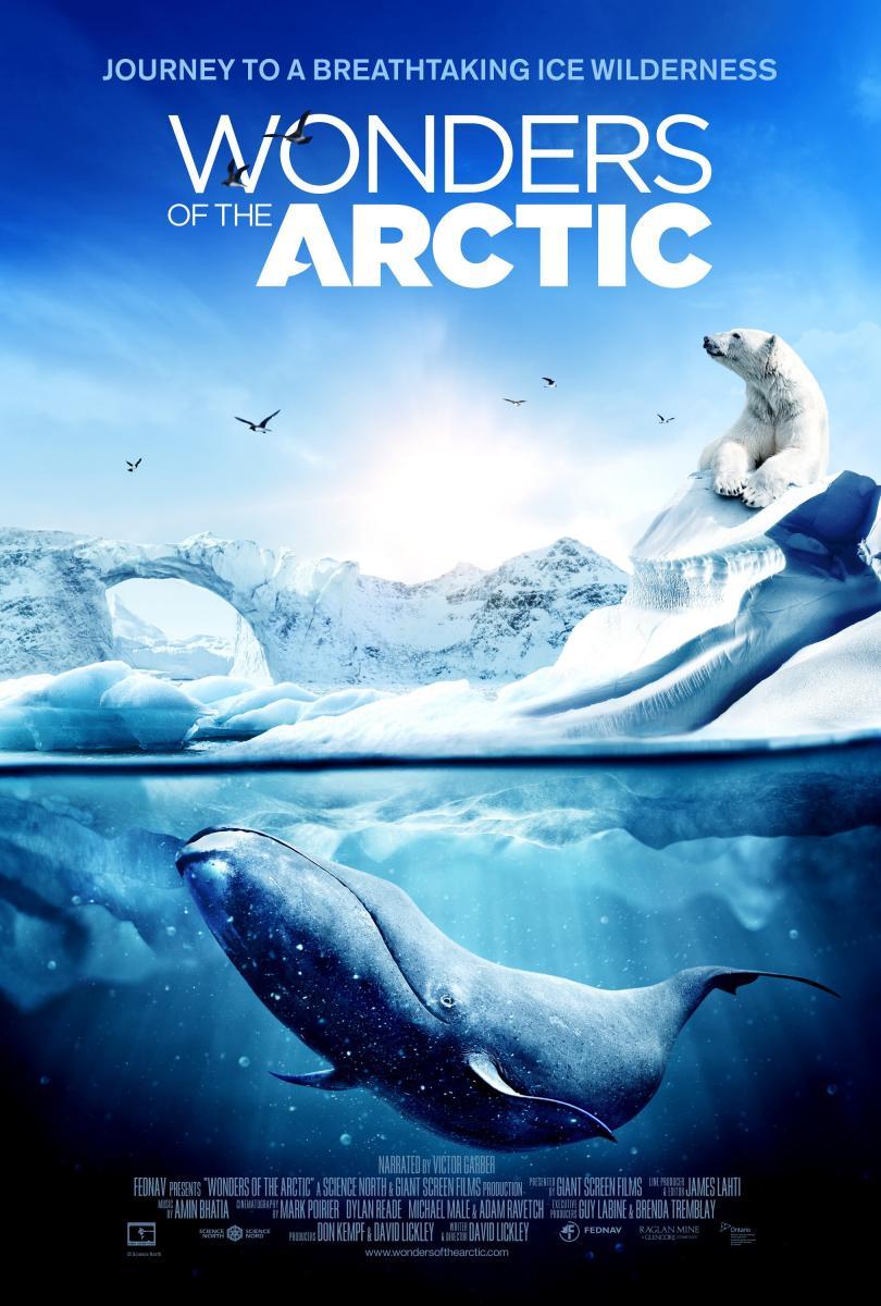 Wonders of the Arctic 3D