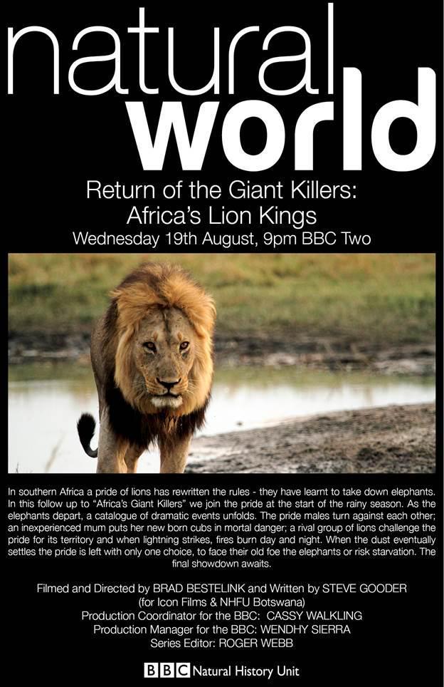 Return of the Giant Killers: Africas Lion Kings