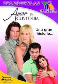 Amor en custodia (TV Series)