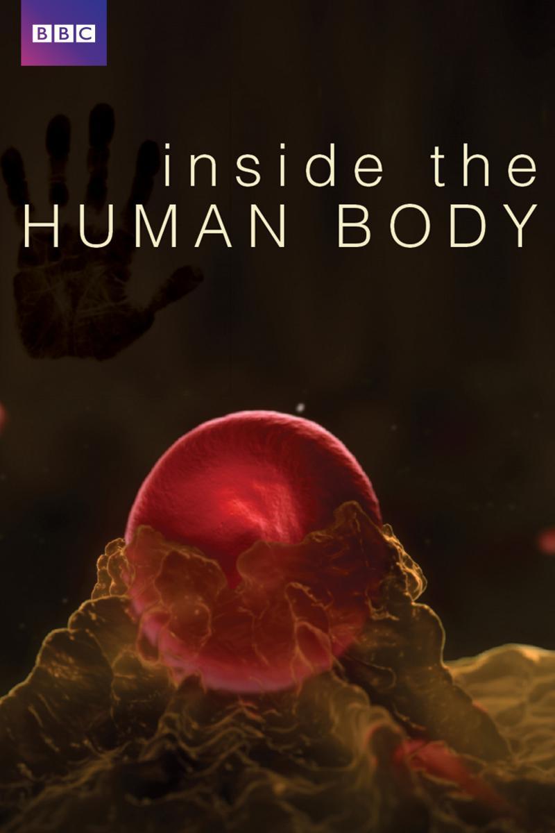 Inside the Human Body (TV Series)