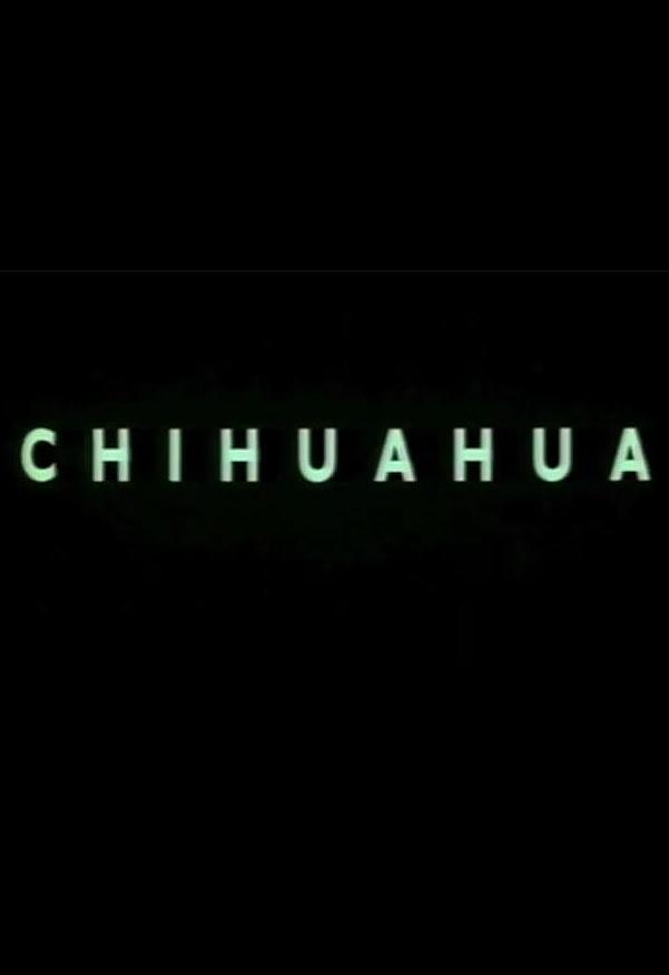 Chihuahua (C)