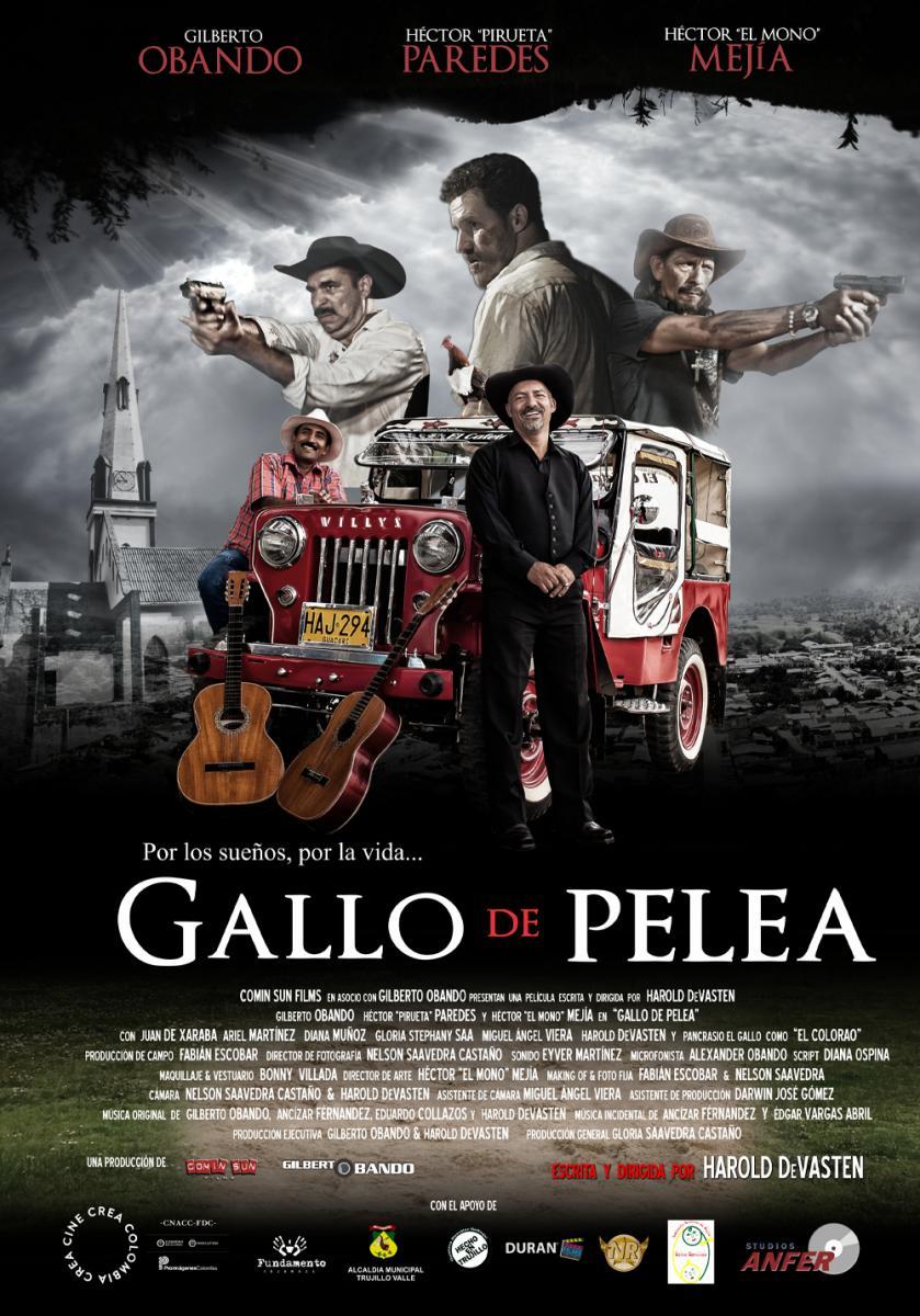 Gallo de pelea