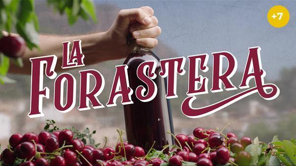 La forastera (TV Series)