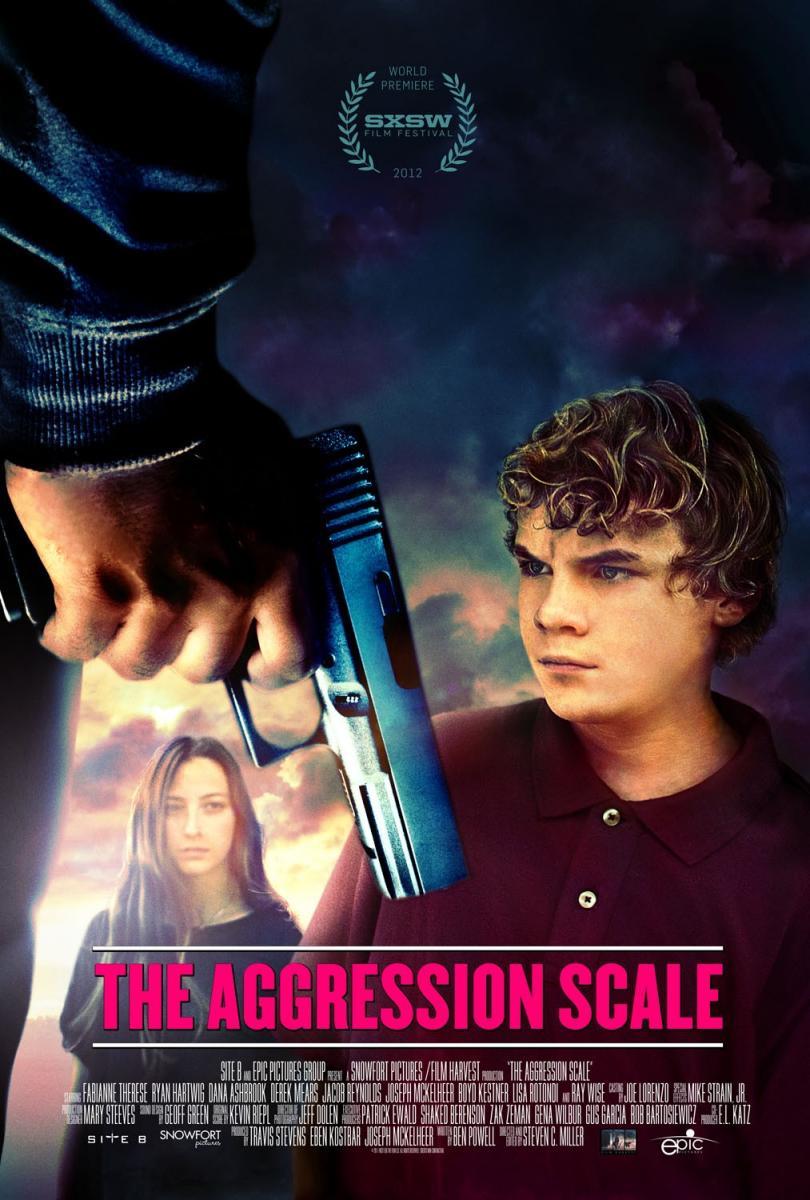 The Aggression Scale