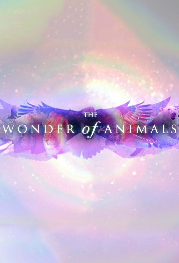 The Wonder of Animals (TV Series)