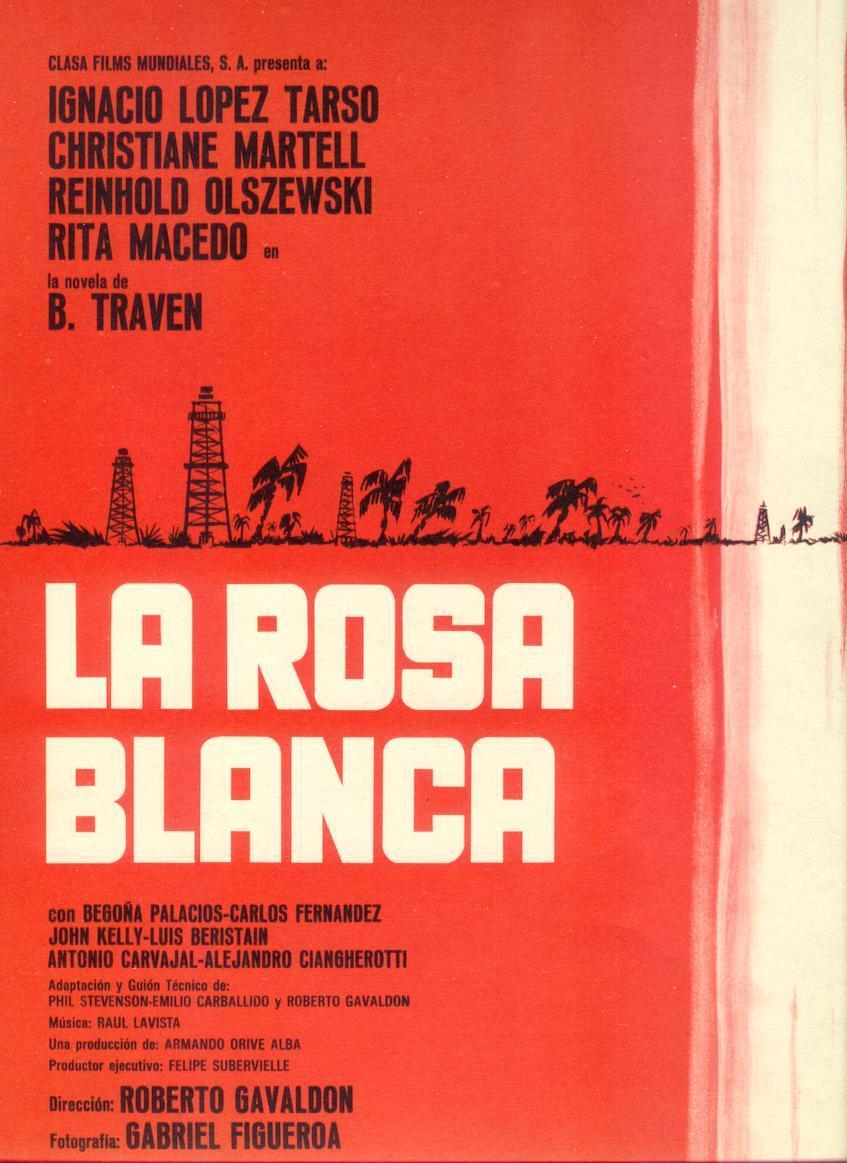 La rosa blanca