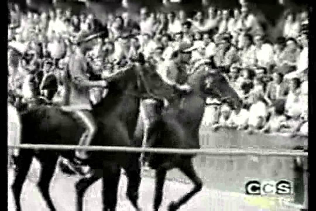 Bianco rosso celeste - Cronaca dei giorni del Palio di Siena (TV)