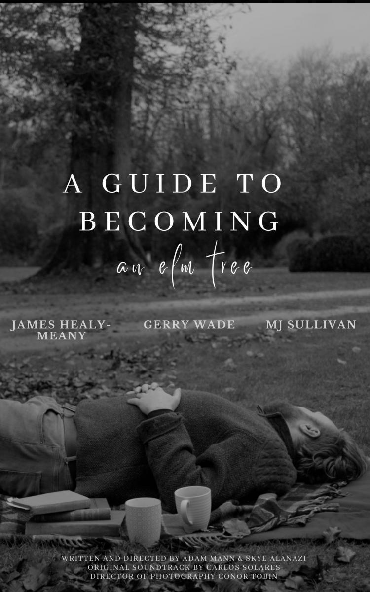 A Guide to Becoming an Elm Tree