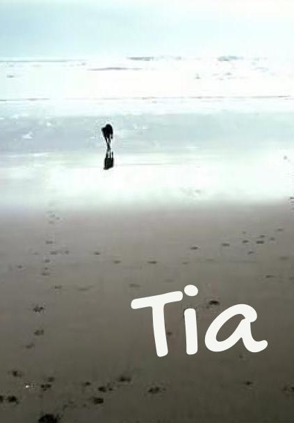 Tia (C)