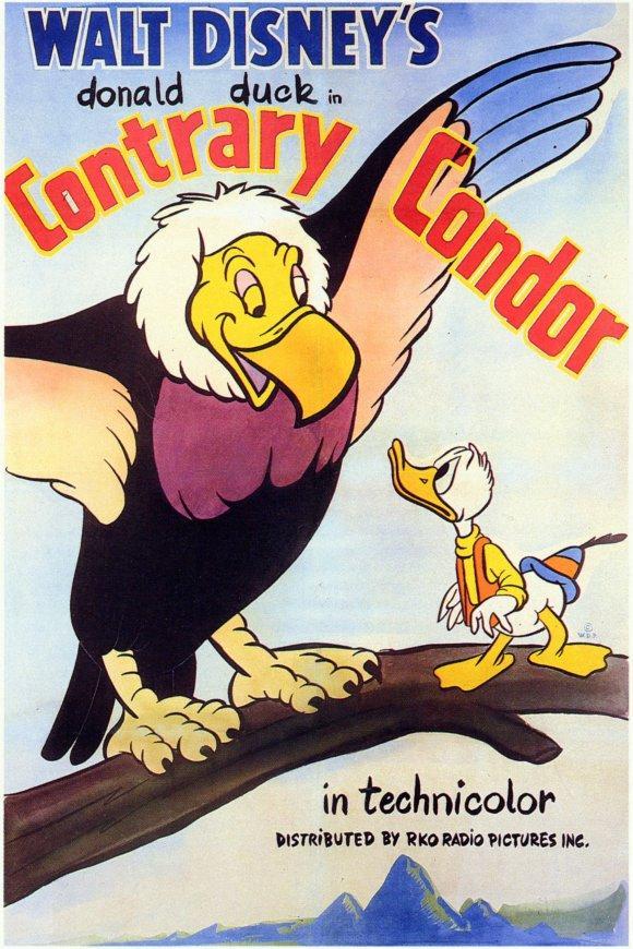 Contrary Condor (S)