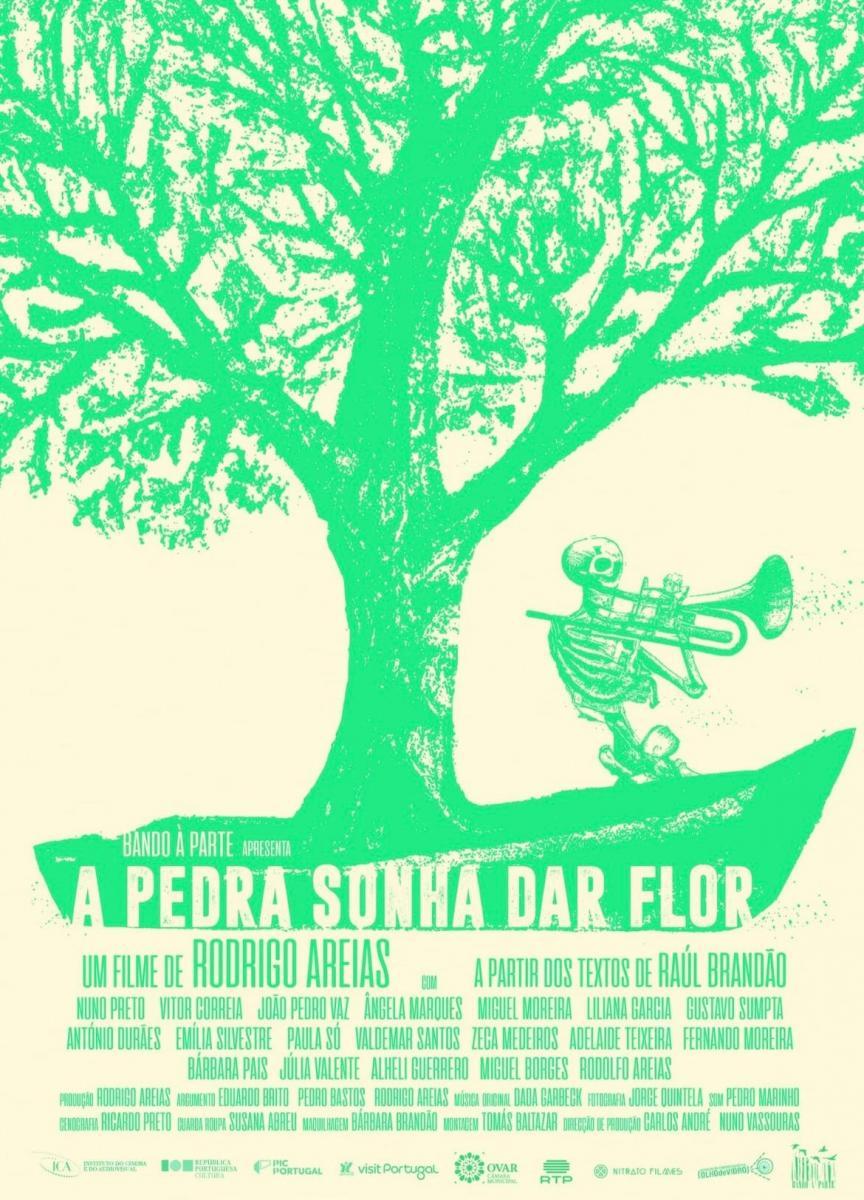 A Pedra Sonha dar Flor