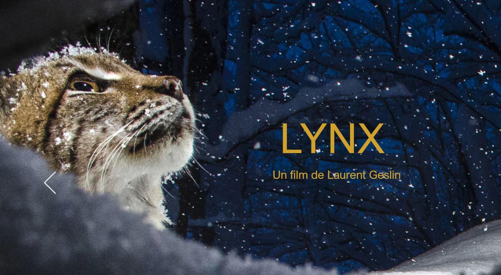 Lynx