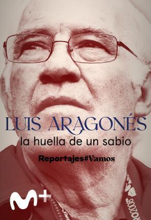 Luis Aragonés, la huella de un sabio