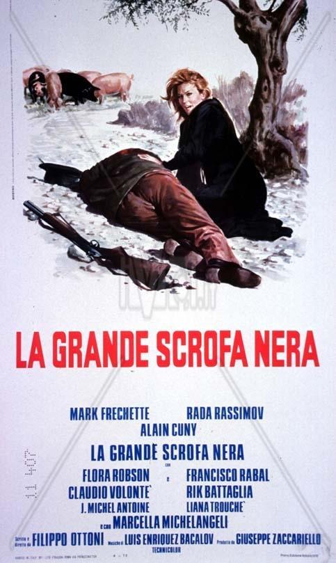 La grande scrofa nera