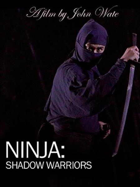 Ninja Shadow Warriors