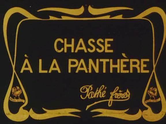 Chasse à la panthère (S)