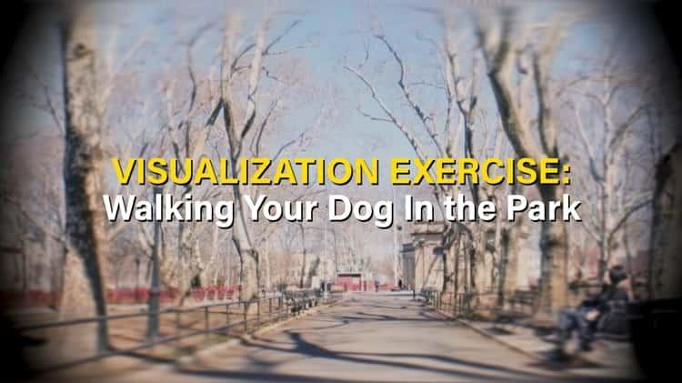 Visualization Exercise: Walking Your Dog in the Park (S)