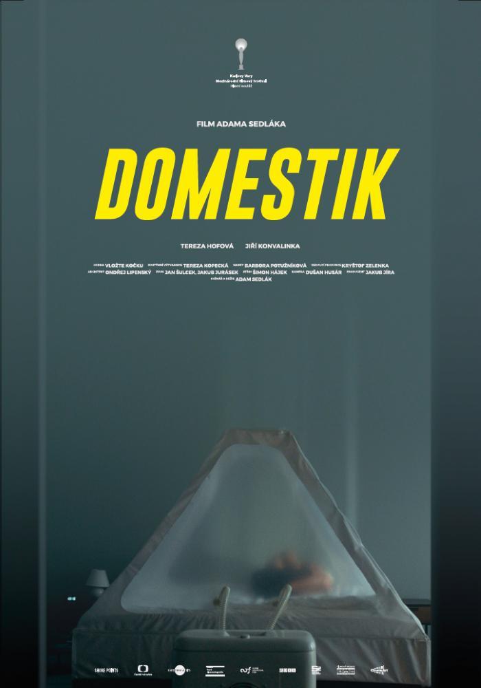 Domestik