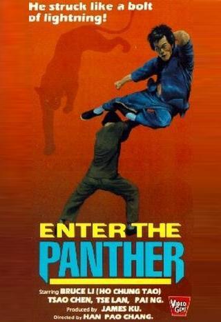 Enter the Panther