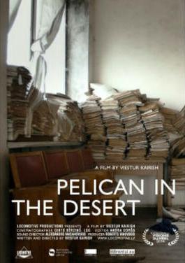 Pelican in the Desert