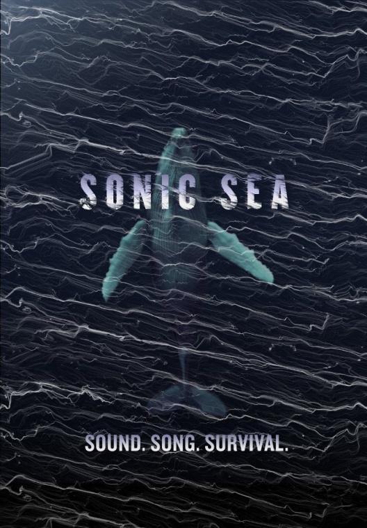 Sonic Sea