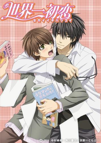 Sekai-ichi Hatsukoi (TV Series)