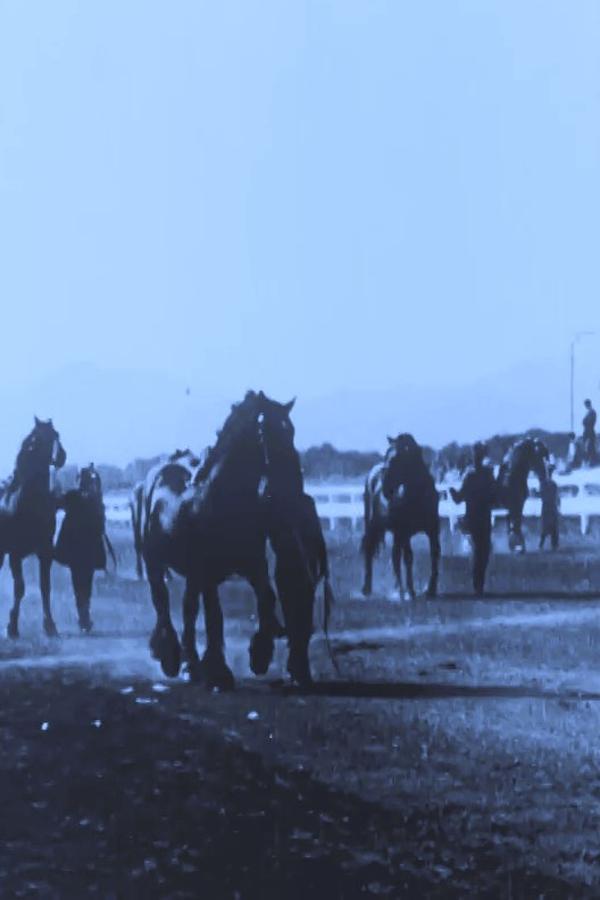 Montana State Fair