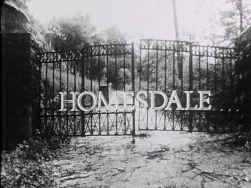 Homesdale