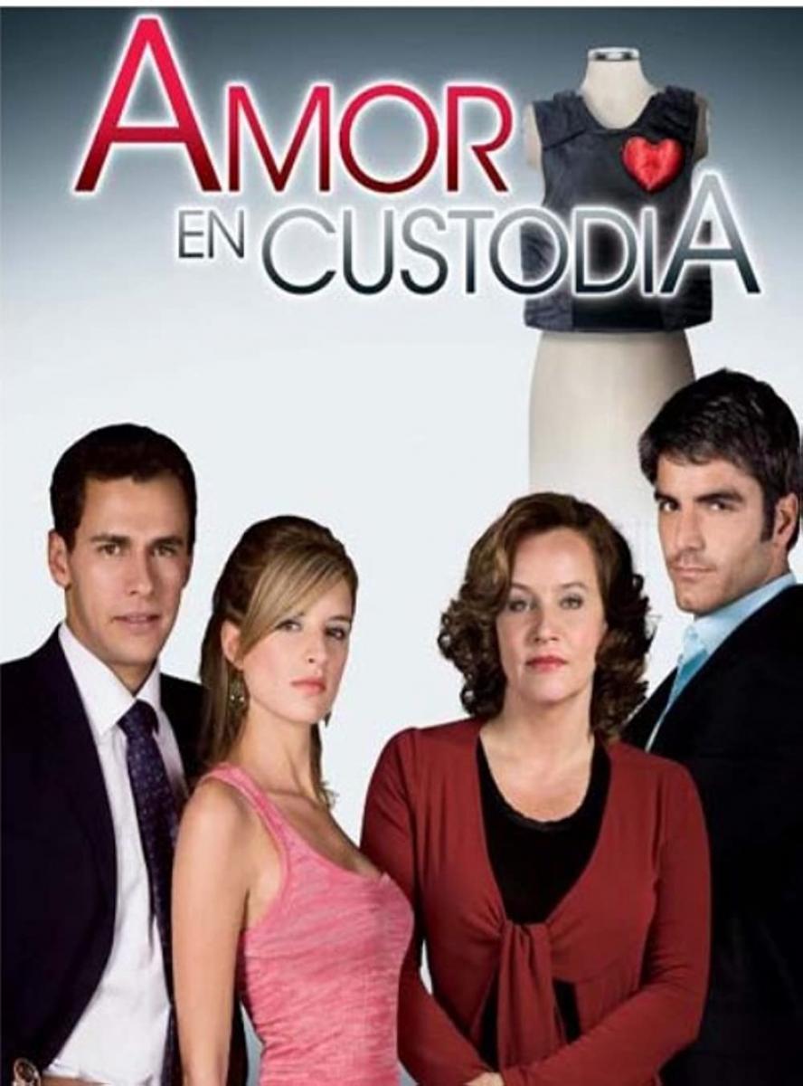 Amor en custodia (Serie de TV)