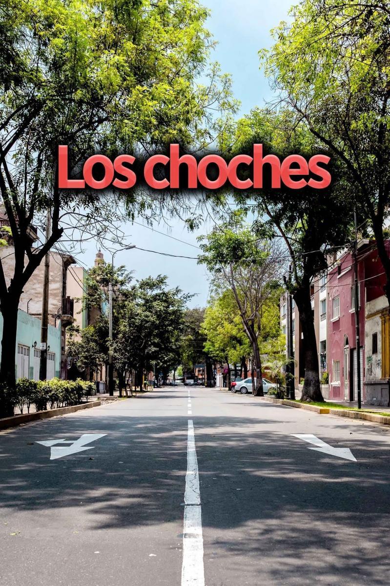 Los Choches (TV Series)