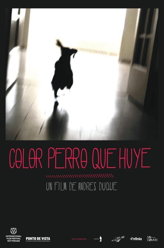 Color perro que huye